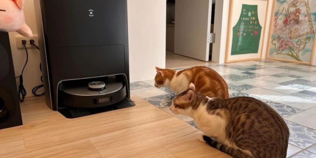 Why Does My Vacuum Shut Off After 5 Minutes Troubleshooting Guide