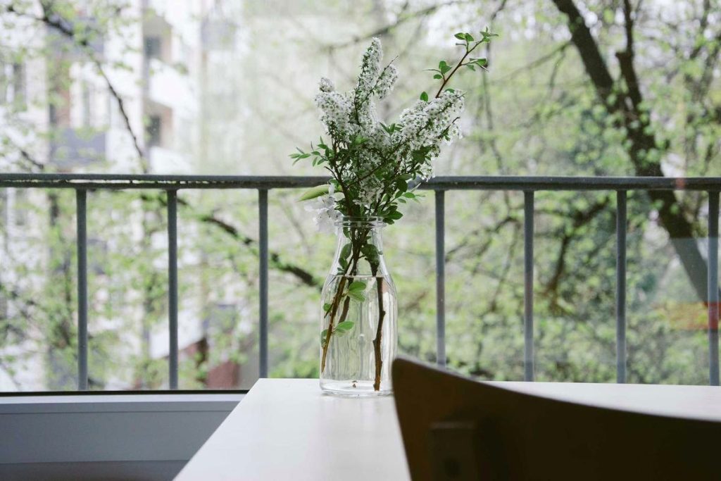 Struggling with Pet Hair and Allergies? The Ultimate Cordless Vacuum Solution