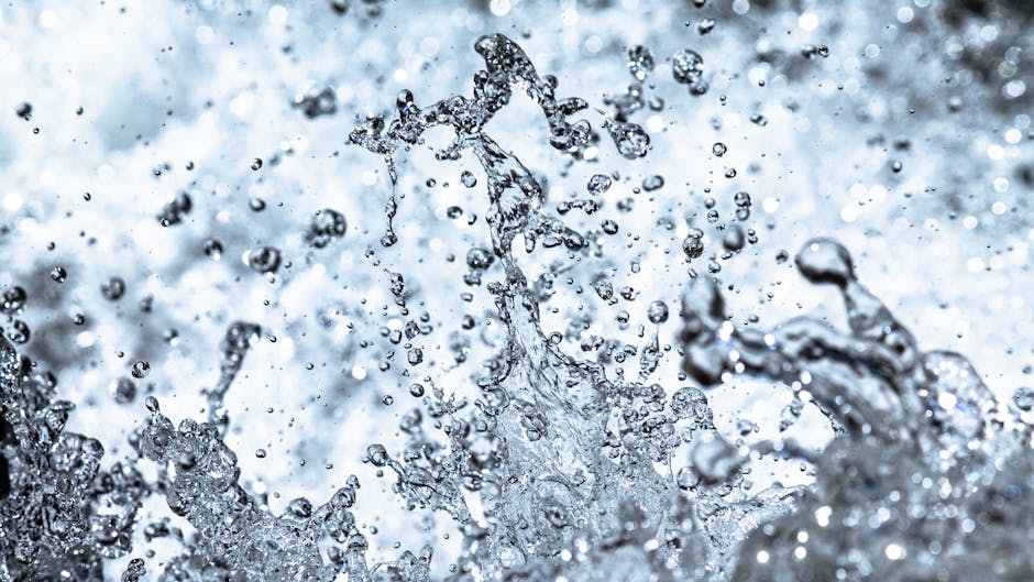 Cloudy Water Woes? Discover the Frizzlife PX500-A for Crystal Clear H2O