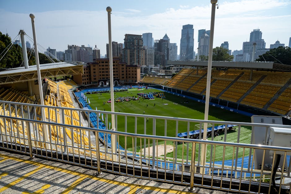 Stadium Seat Cushion Comparison: Backrest vs. Bleacher Pad