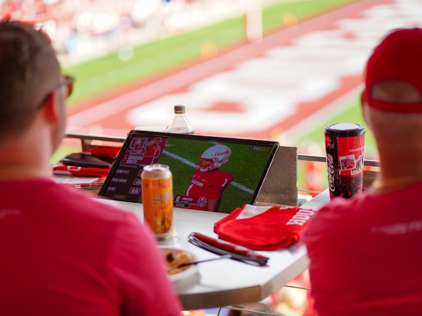 Stadium Seat Cushion