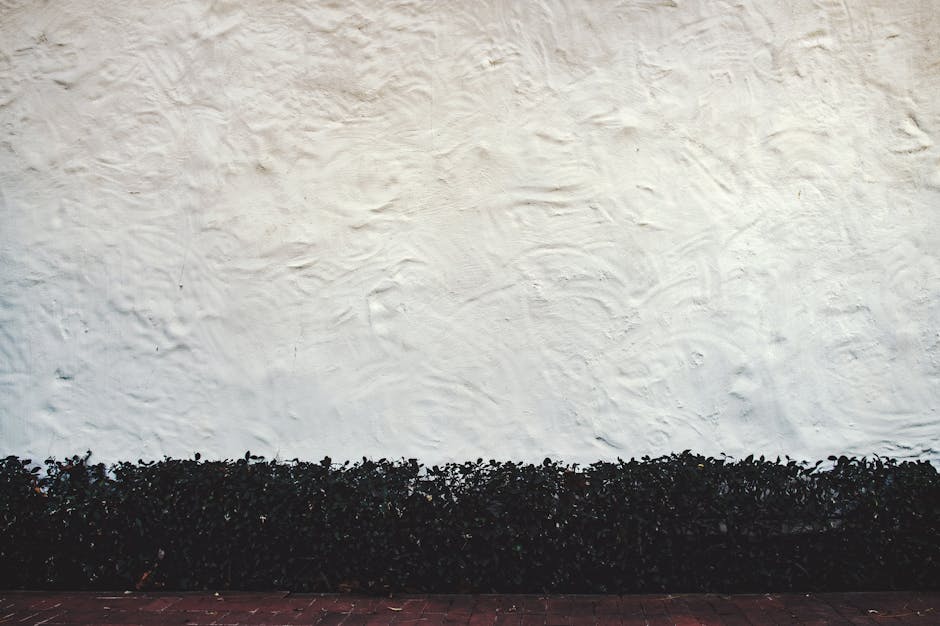 Tested Large Wall